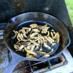 Yampah roots cooked in oil. Photo by Kollibri Sonne-Terrablume.