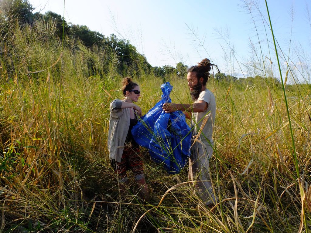 Eric & Katie harvesting wild rice on foot at low tide.