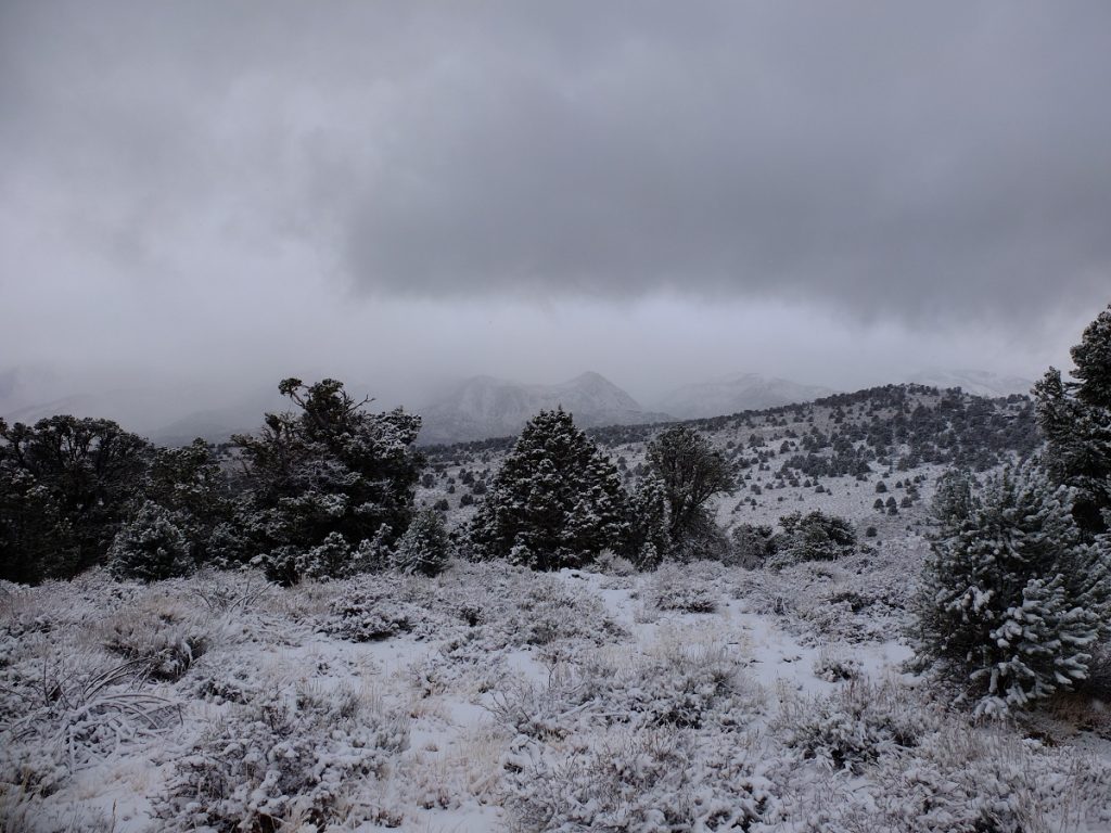 Snow put pinenut gathering on a temporary break until it melted a couple days later.