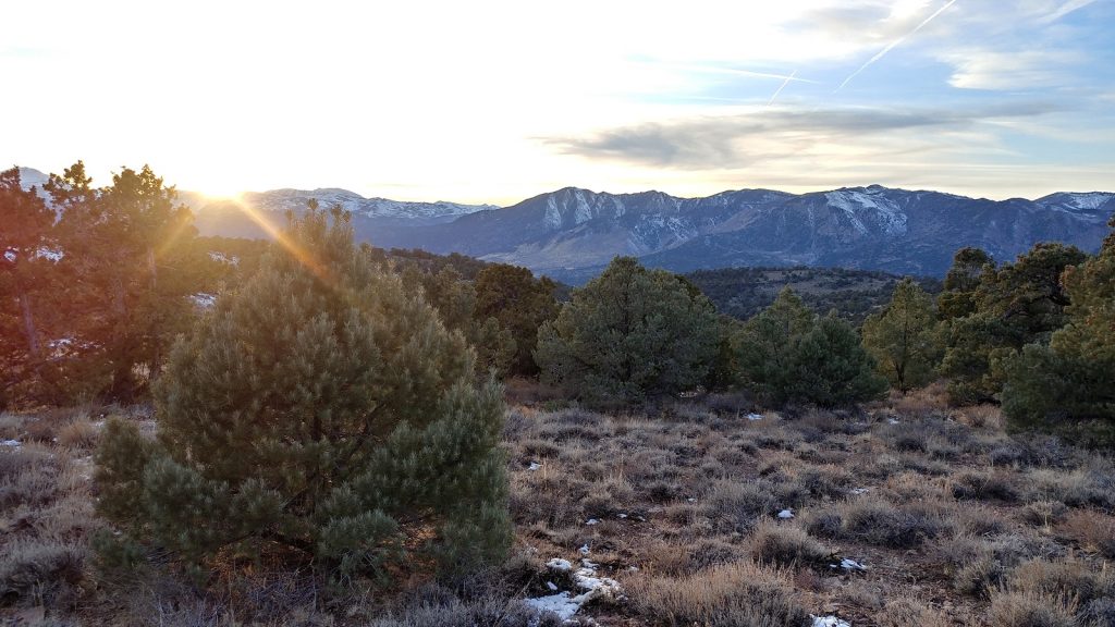 Pinyon-juniper woodland